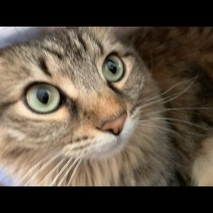 Meet your Posher, Hudson